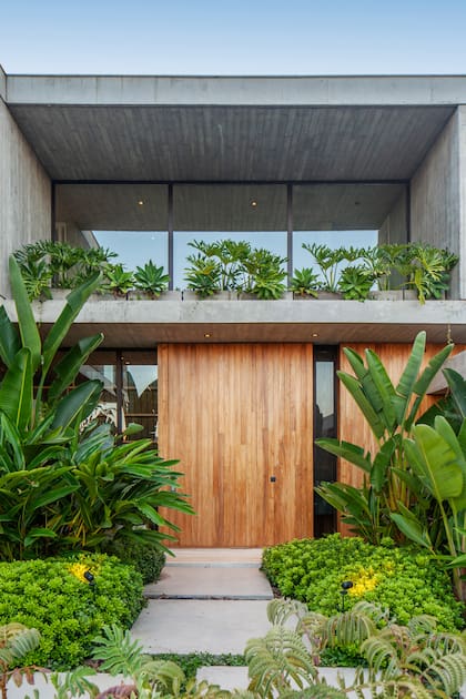 La vegetación en planta alta ablanda la arquitectura y mejora la calidad de vida