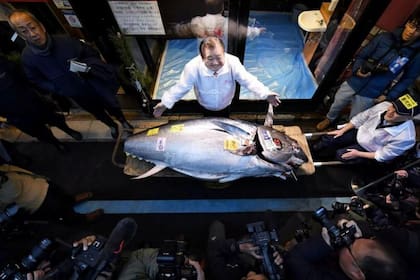 La venta ocurrió en la primera subasta de Año Nuevo en el mercado de pescados Toyosu de Tokio