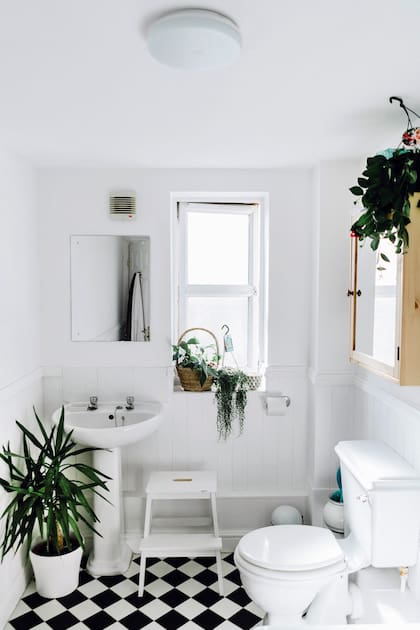 La ventana asegura la cuota de luz necesaria para que las plantas mantengan su verdor y aporten oxígeno a este espacio