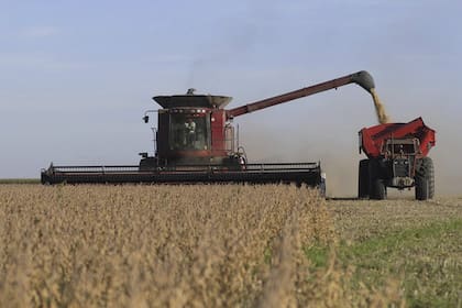 La verdadera fortaleza argentina no reside solamente en los volúmenes que producimos