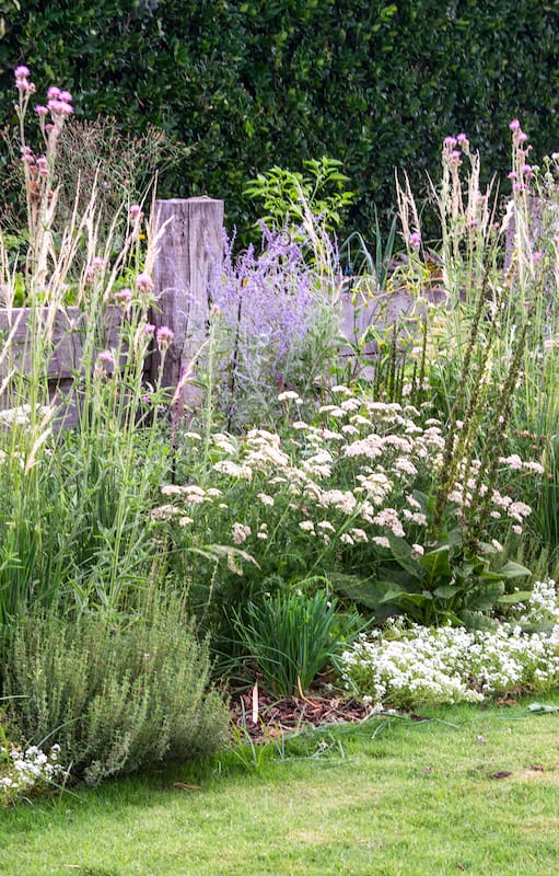 La verdadera riqueza de un jardín nativo está en las interacciones que genera, no en la cantidad de plantas que reúne