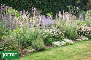 Por dónde empezar y qué plantar para crear un jardín biodiverso