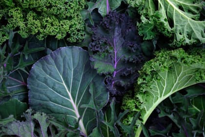 La verdura de hoja verde es rica en Vitamina A.