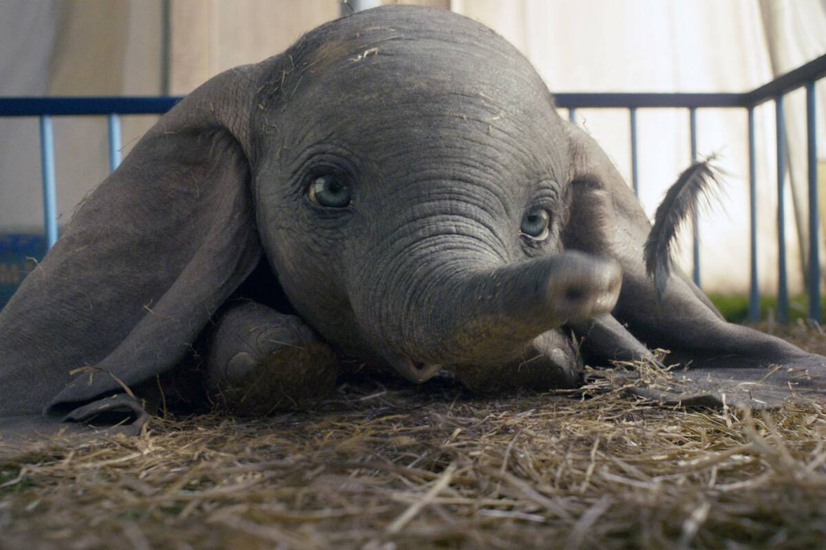 La versión de Dumbo dirigida por Tim Burton, es una gran opción para toda la familia