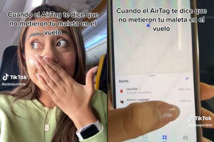 La viajera se dio cuenta de que su valija no se movía igual que el avión