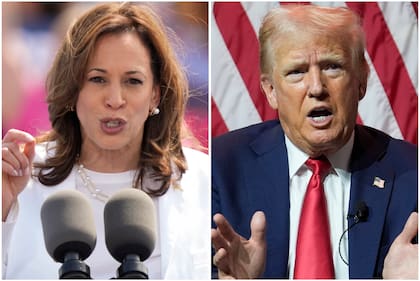 La vicepresidenta Kamala Harris y el expresidente Donald Trump (Archivo)