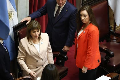 Qué pasó con el kirchnerismo en el Senado y por qué perdió la vicepresidencia