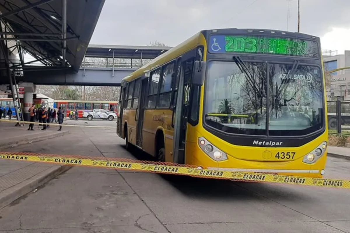 La víctima fue trasladada de inmediato al hospital más cercano, donde los médicos intentaron reanimarla sin éxito