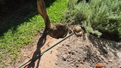 La víctima había guardado las joyas en un recipiente plástico y las había enterrado en su jardín