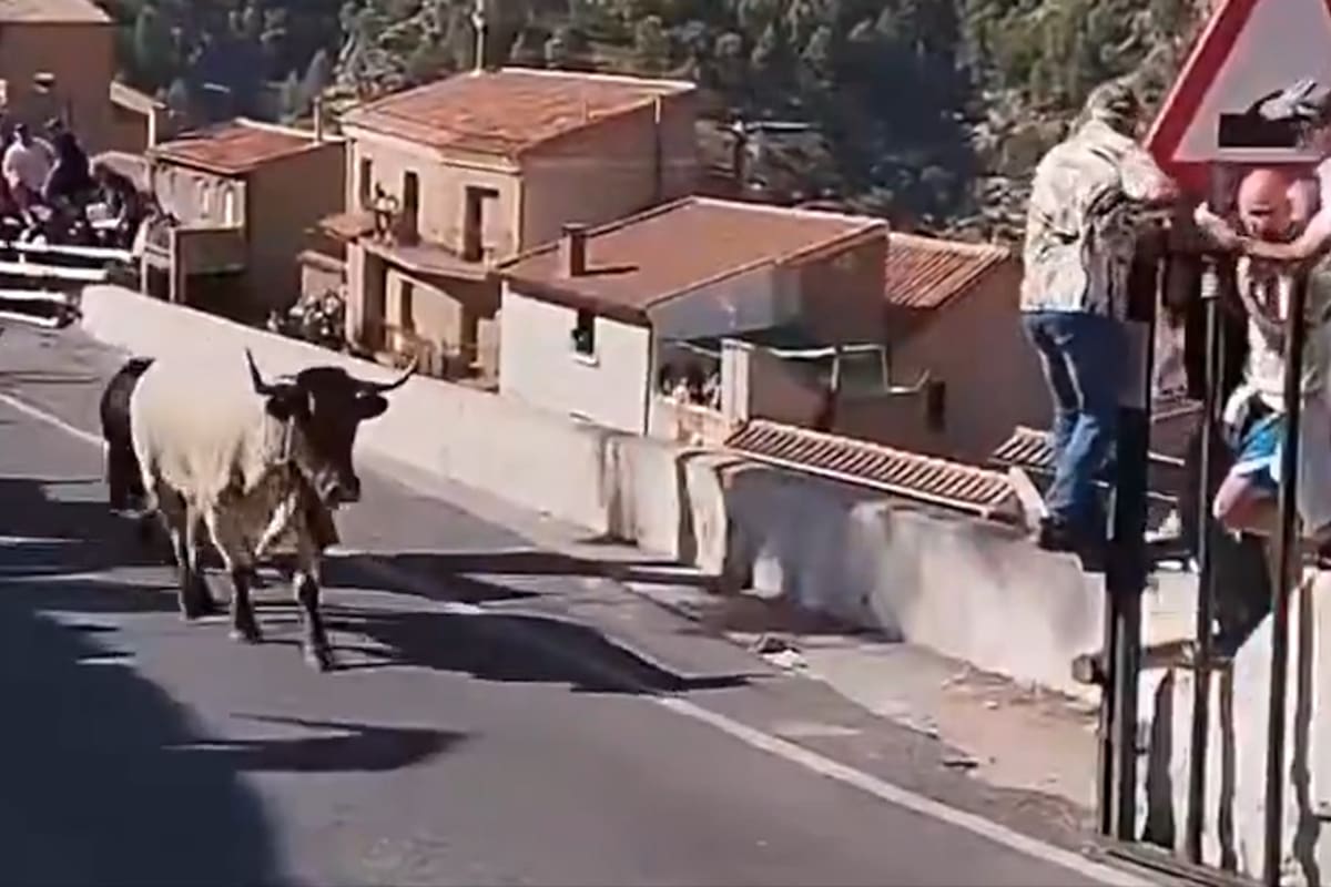 La víctima participaba en uno de los encierros taurinos durante las fiestas patronales de Ayna, en Albacete