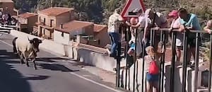 Una mujer de 64 años murió tras ser corneada por un toro