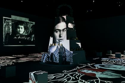 La vida de Frida narrada en imágenes