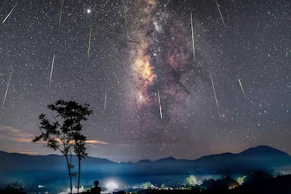 La vida existiría en otros lugares y habría llegado a nuestro planeta en diversos objetos astronómicos como meteoritos, cometas, asteroides, e incluso naves espaciales, que transportan contaminación no intencionada por microorganismos
