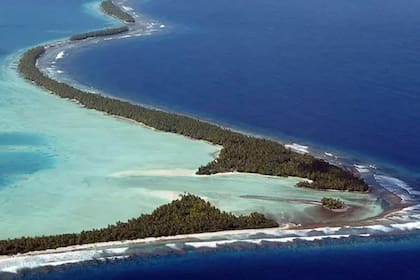 La vida marina es la que está sufriendo más directamente el impacto del calentamiento de los océanos