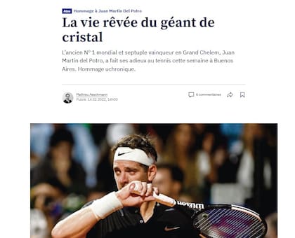 "La vida onírica del gigante de cristal", el título del ensayo de un periodista suizo sobre cómo hubiera sido la carrera de Del Potro sin las lesiones.