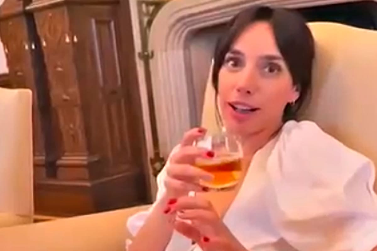 La viralización del video de Tamara Pettinato en el despacho presidencial de la Casa Rosada, con Alberto Fernández del otro lado de la cámara