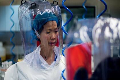 La viróloga china Shi Zhengli se mostró de acuerdo con que la OMS visite su laboratorio en Wuhan.