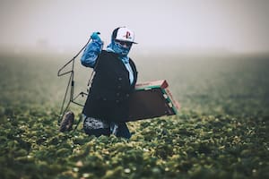 La visa H2-A permite que un empleador contrate personal extranjero para realizar trabajos agrícolas (Archivo)