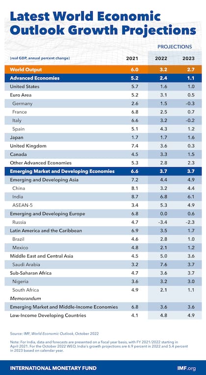 La visión del FMI sobre la economía de la Argentina en 2023.