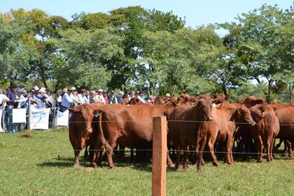 La visita de la delegación a Las Marías