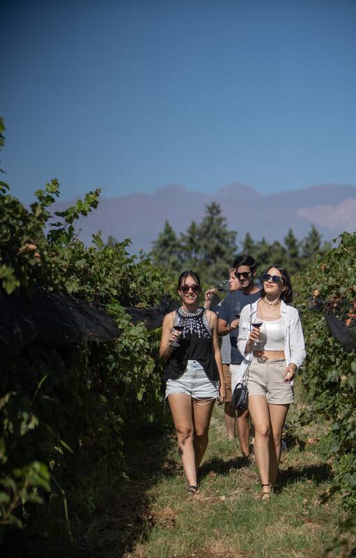 La visita y degustación de Andeluna, una de las más elegidas en Valle de Uco.
