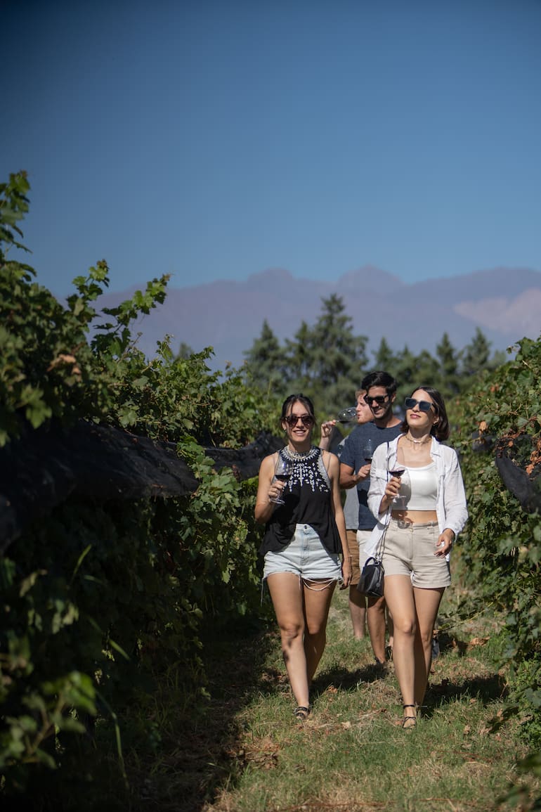 La visita y degustación de Andeluna, una de las más elegidas en Valle de Uco.