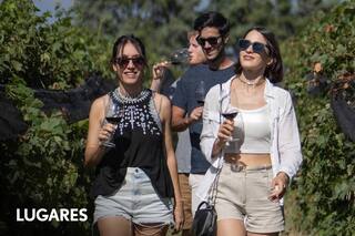Las mejores posadas, viñedos y restaurantes en una zona que crece