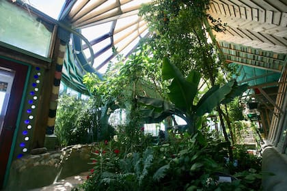 La vista del cielo vidriado y el jardín interior de Phoenix Earthship.
