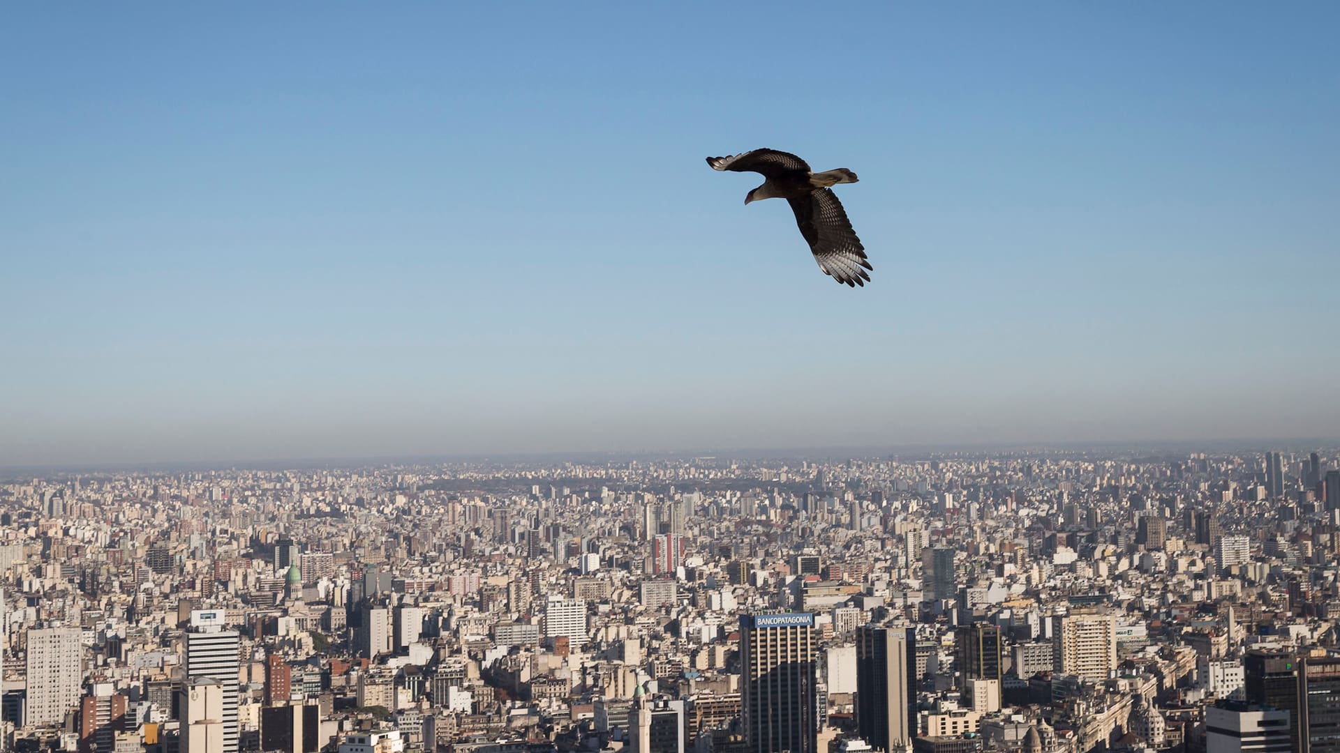 La vista desde el último piso de la Alvear Tower