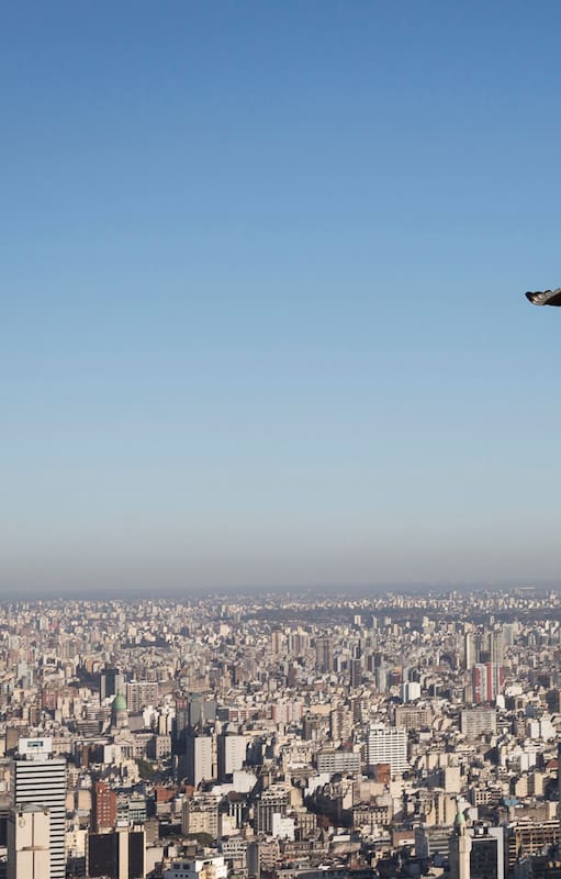 La vista desde el último piso de la Alvear Tower