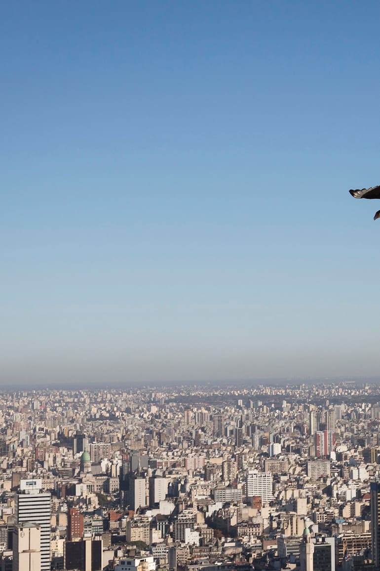 La vista desde el último piso de la Alvear Tower