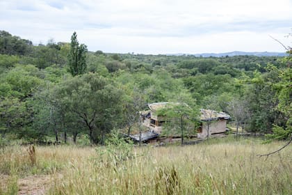 La vista hacia la casa desde la “Pradera de Nativas” que está al sur, pasando la pirca.