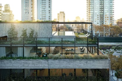 La vista lateral de los triplex hasta los 580 m² con terraza y pileta propia que marcarán tendencia en el nuevo Palermo.