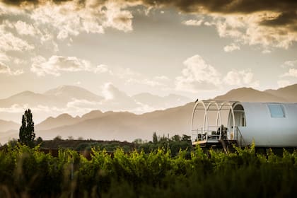 La vista que mezcla verde, viñedos y arquitectura, y que enamoró a Cecile.