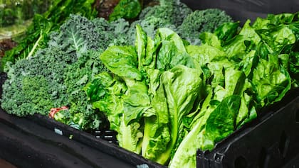 La vitamina A se encuentra en alimentos como zanahorias, boniato y verduras de hoja verde (Foto de carácter ilustrativo: PEXELS)