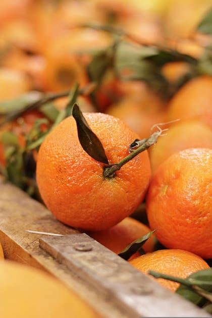 La vitamina C está vinculada con la respuesta del cuerpo al estrés. Un nivel adecuado de esta sustancia contribuye a un estado de ánimo elevado, mientras que su deficiencia puede desencadenar síntomas como ansiedad y depresión.