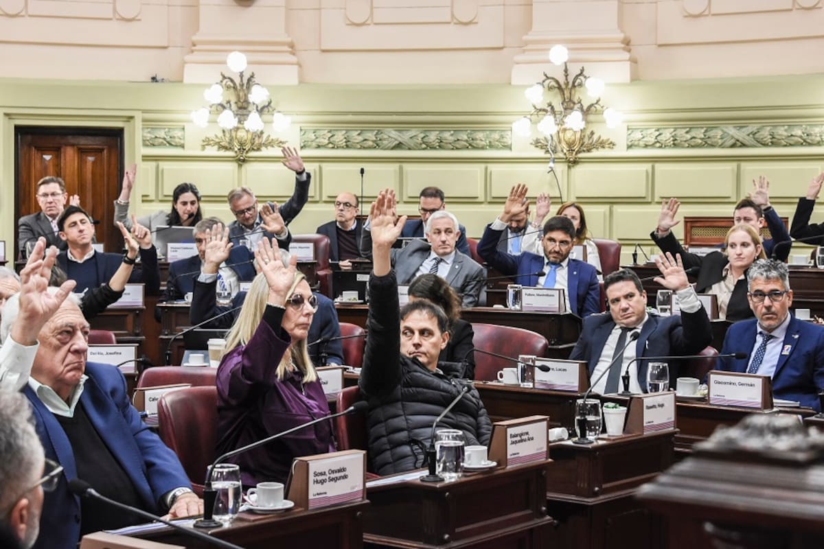 La votación de la reforma constitucional en el recinto de la legislatura santafesina