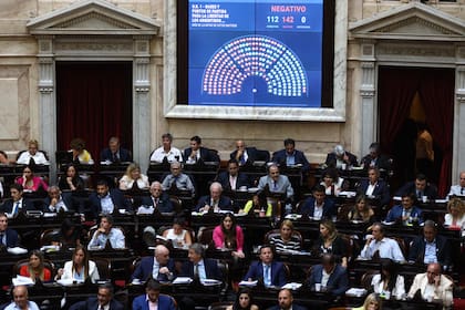 La votación en particular del proyecto de ley ómnibus no fue la esperada para el oficialismo