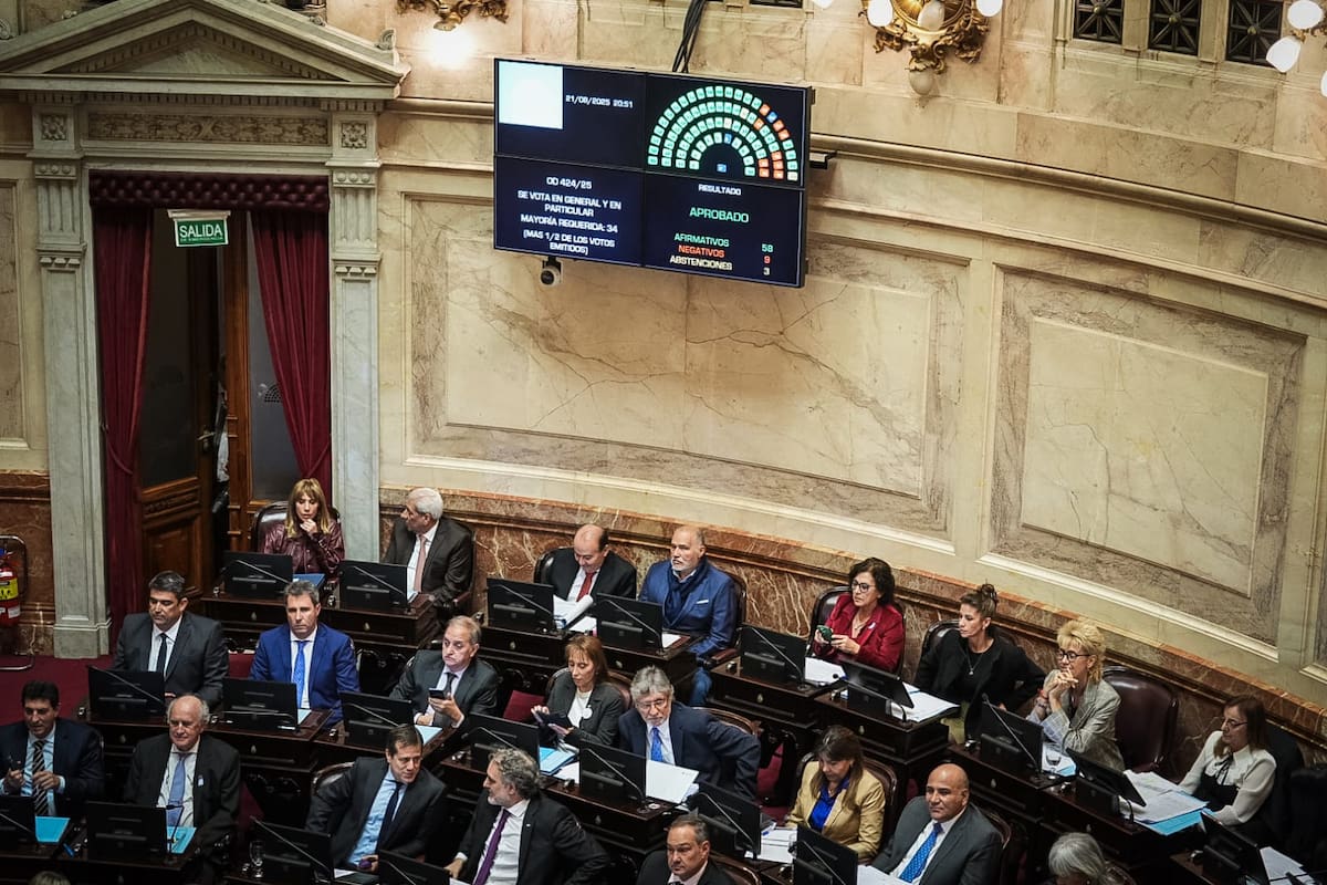 La votación por financiamiento educativo en el Senado de la Nación