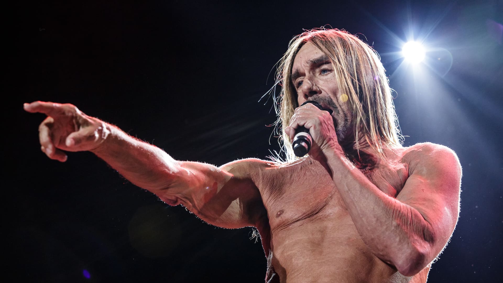 La Iguana está de vuelta: Iggy Pop se presenta este viernes en el Movistar Arena