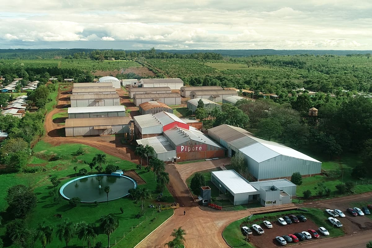 La yerba mate Piporé fue reconocida embajadora del NEA en el Premio Exportar 2023