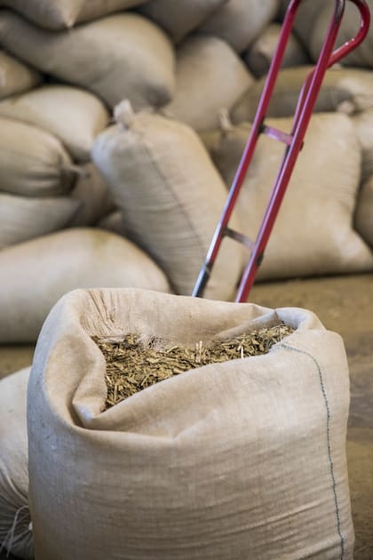 La yerba mate se conserva en bolsas especiales.