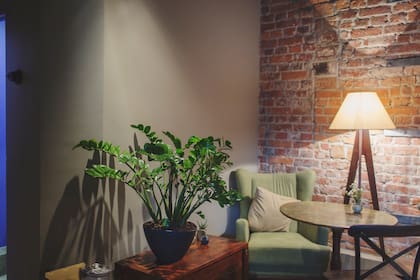 La zamioculca se adapta fácilmente a los ambientes interiores y requiere cuidados mínimos
