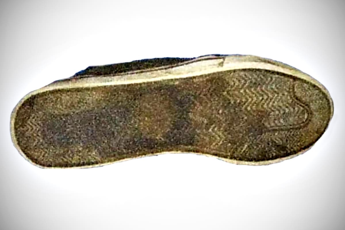 La zapatilla que fue peritada