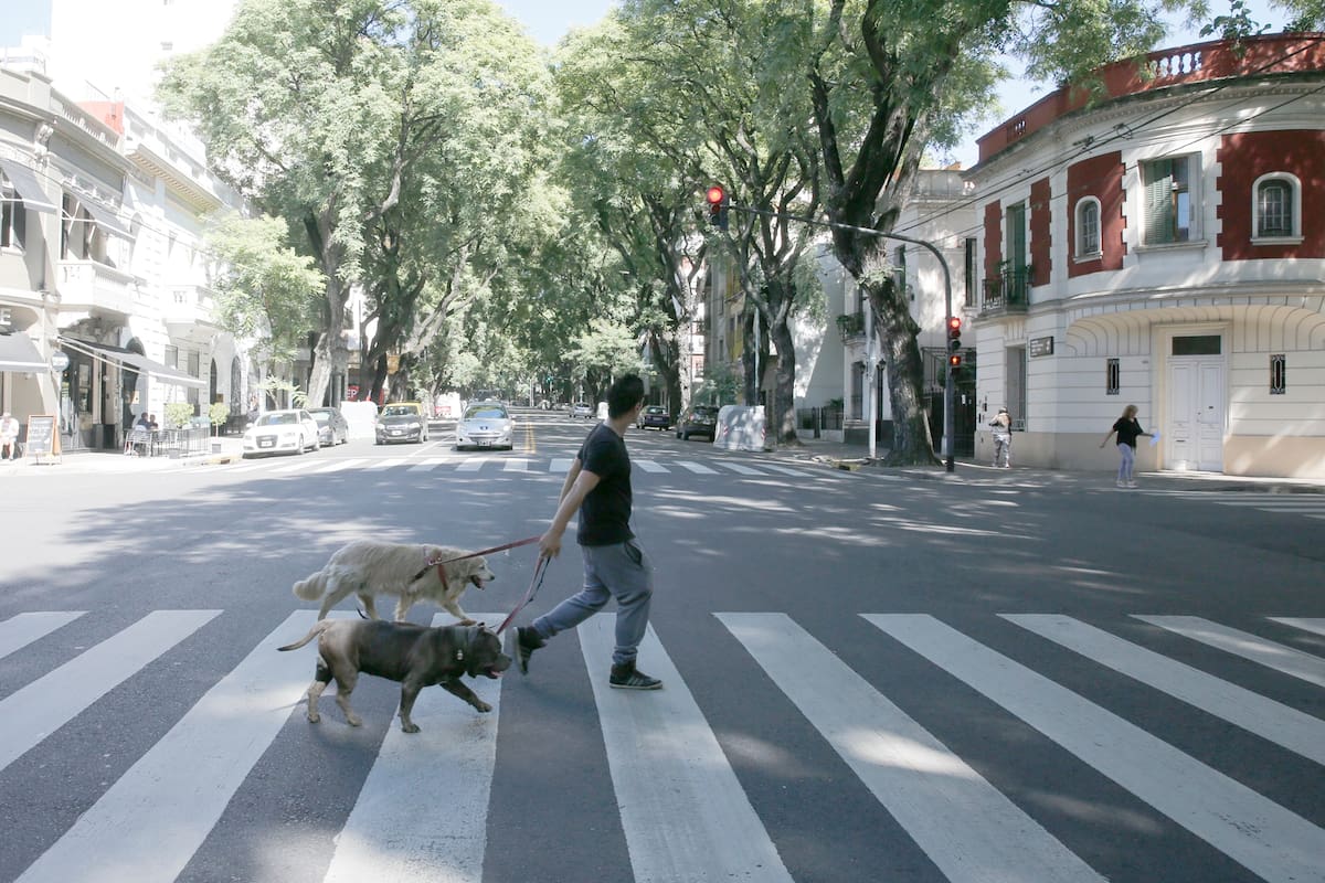 La zona con la demanda más alta y más fiel de la ciudad es centro de atención de los desarrolladores que buscan terrenos para construir los proyectos; los precios y qué área aún tiene valores accesibles