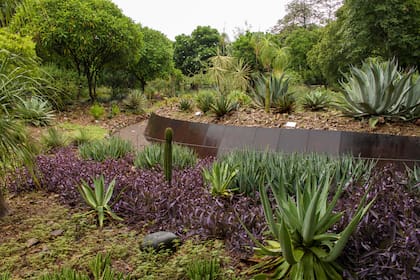 La zona de agaves y suculentas ofrece un interesante paseo en el recorrido.