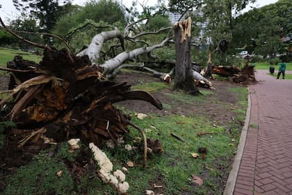 La zona de Parque Lezama registró caída de árboles y ramas
