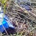 Así es el lugar donde encontraron el cuerpo de Nancy Godoy, la docente asesinada