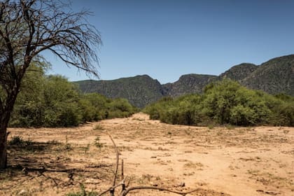 La zona en la que vive la nueva especie de roedor