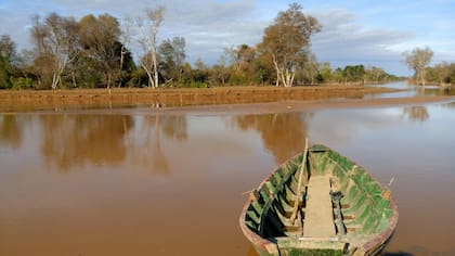 La zona es uno de los últimos grandes reductos de biodiversidad que quedan en el mundo